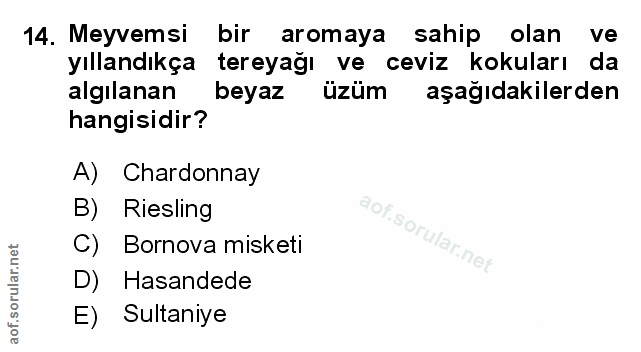 Soru 14