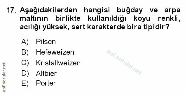 Soru 17