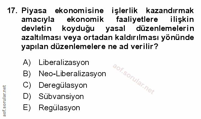 Soru 17