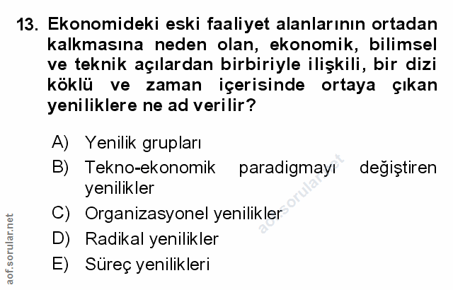 Soru 13