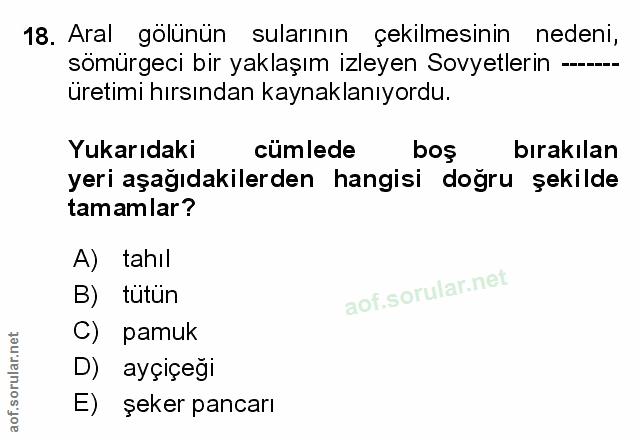 Soru 18