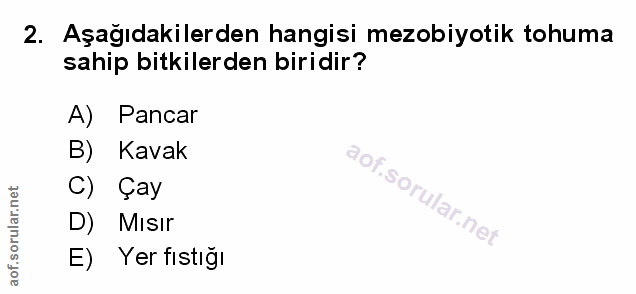 Soru 2