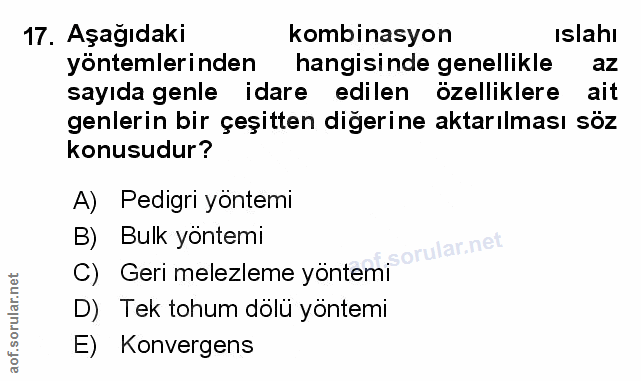 Soru 17