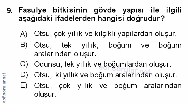 Soru 9