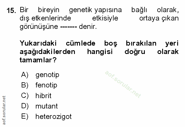 Soru 15
