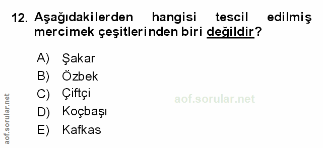 Soru 12