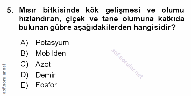 Soru 5