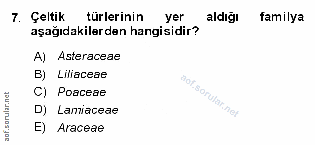 Soru 7