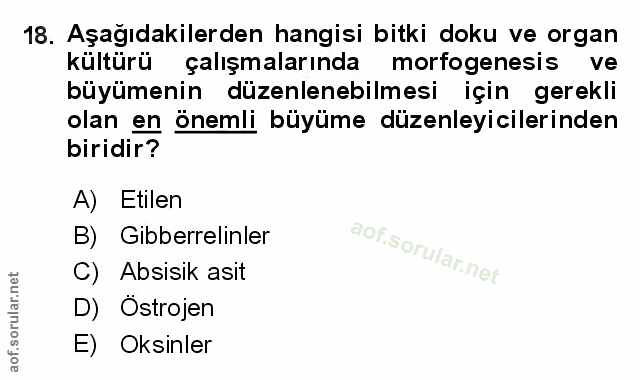 Soru 18