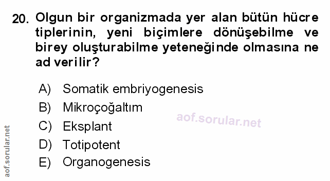 Soru 20