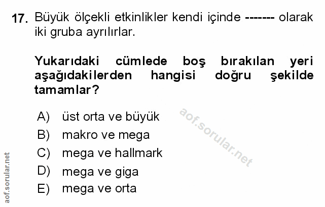 Soru 17