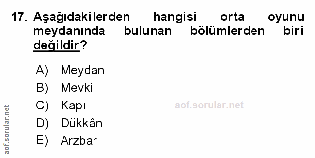 Soru 17