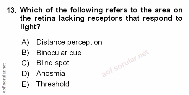 Soru 13