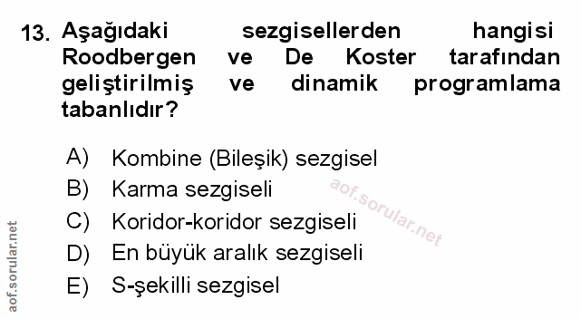 Soru 13