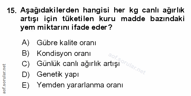 Soru 15