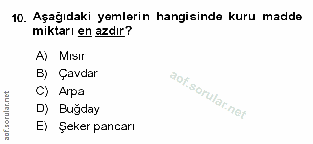 Soru 10