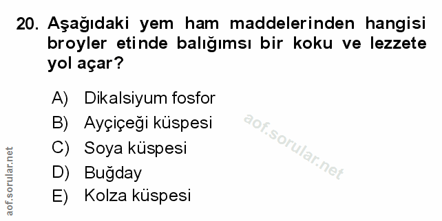 Soru 20
