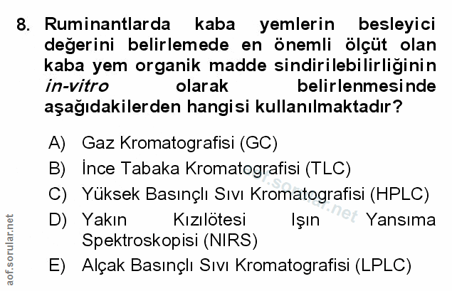 Soru 8