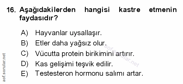 Soru 16