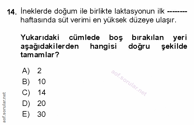 Soru 14