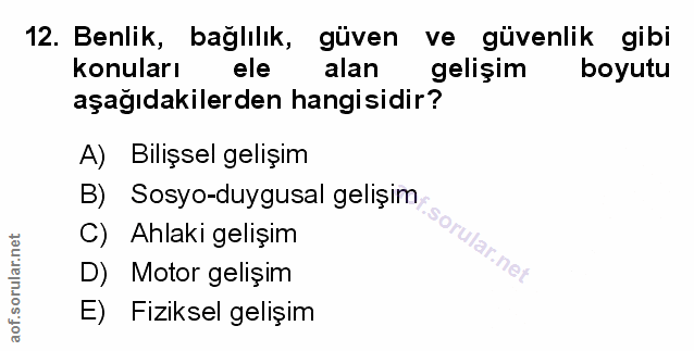 Soru 12