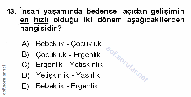 Soru 13