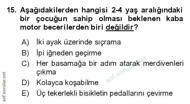 Soru 15