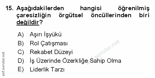 Soru 15