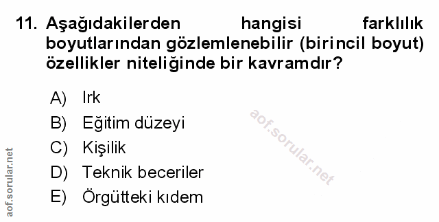 Soru 11