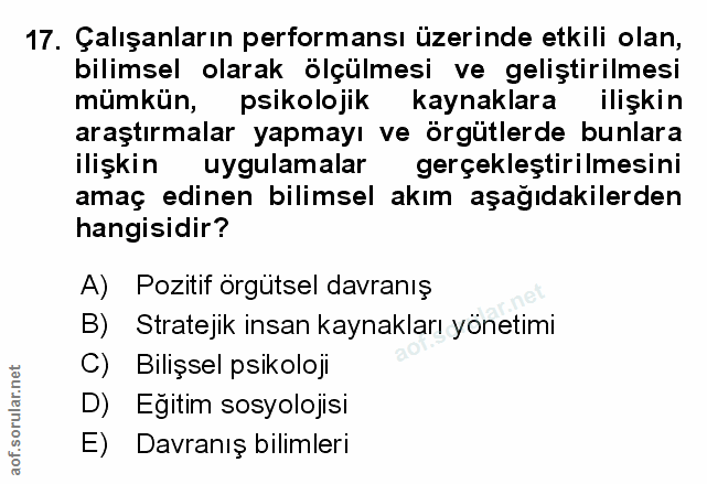 Soru 17