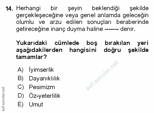 Soru 14