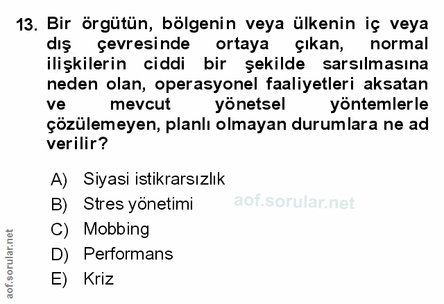 Soru 13