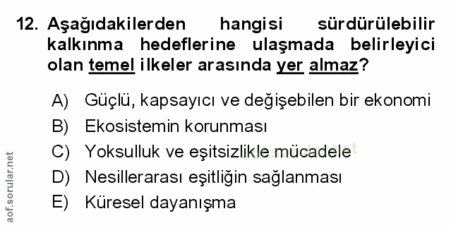 Soru 12