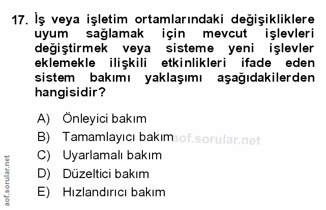 Soru 17