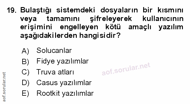 Soru 19