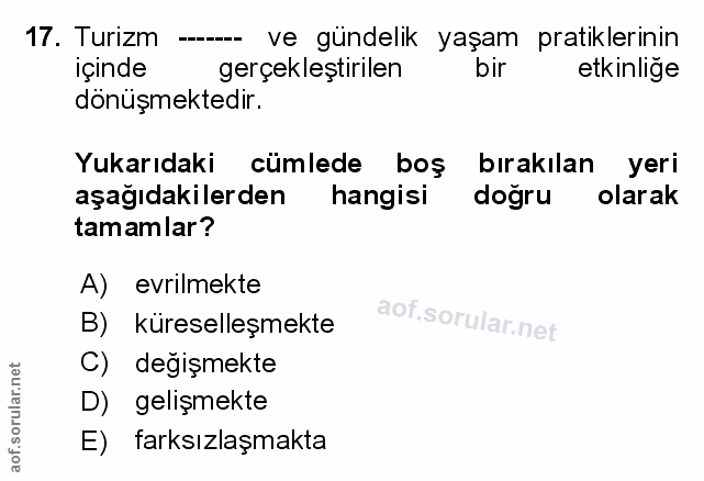 Soru 17