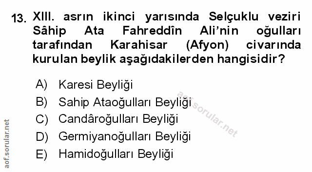 Soru 13