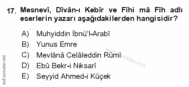 Soru 17