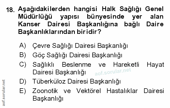 Soru 18