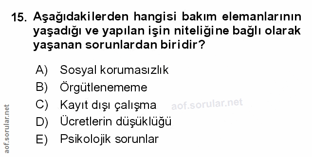 Soru 15