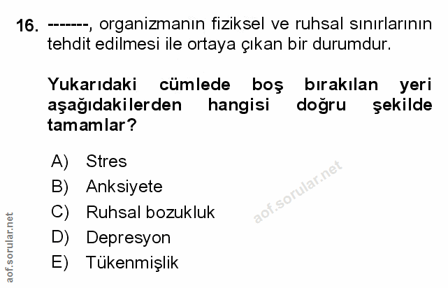 Soru 16