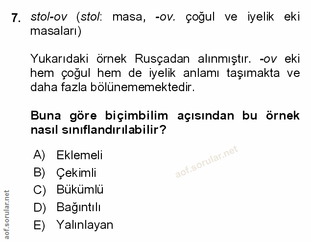 Soru 7