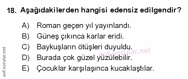 Soru 18