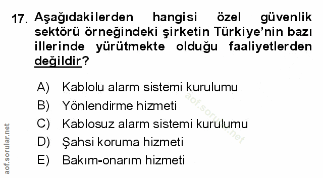 Soru 17