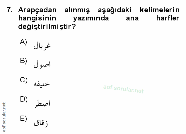 Soru 7