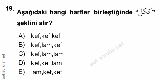 Soru 19
