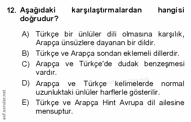 Soru 12