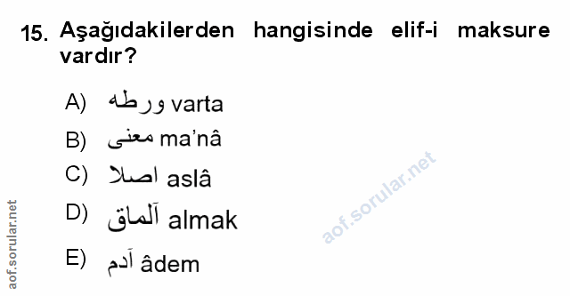 Soru 15