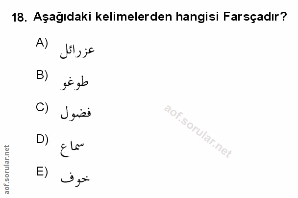 Soru 18