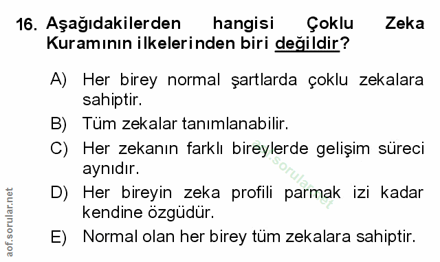 Soru 16